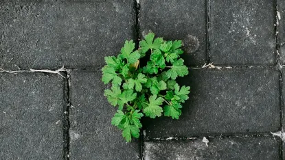 Kasino Deposit Win Mobilní aplikace